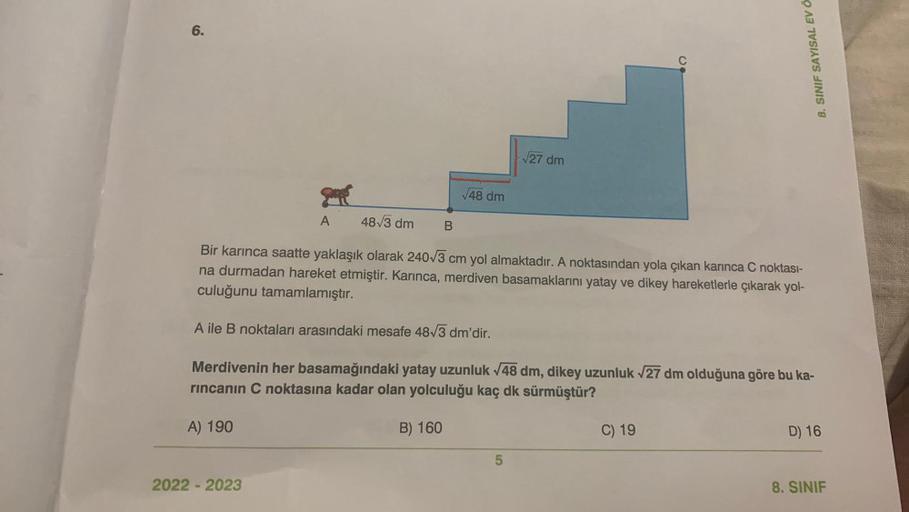 Bir karınca saatte kaç km gider? - Kapak Görseli