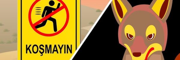 Çakallar neden ışıkta saklanır? - Kapak Görseli