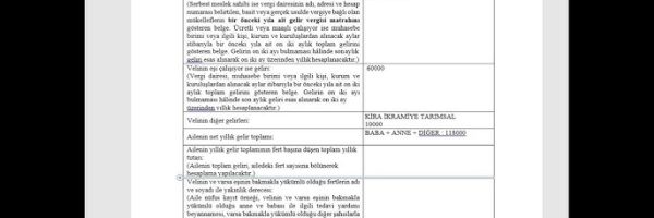 Bursluluk Sınavında Ek-1 Anlamı: Kritik Detaylar [2026] - Kapak Görseli
