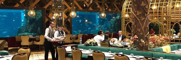 KaşıBeyaz Akvaryum hangi balık var? - Kapak Görseli