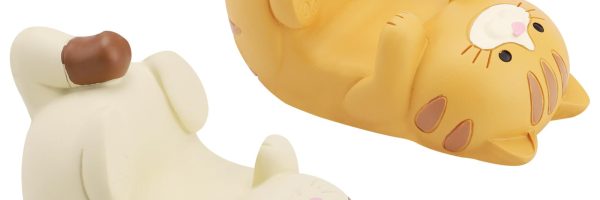 Kedinin Telefon Tuttuğunu Gören Kadının İlk Tepkisi [2026] - Kapak Görseli