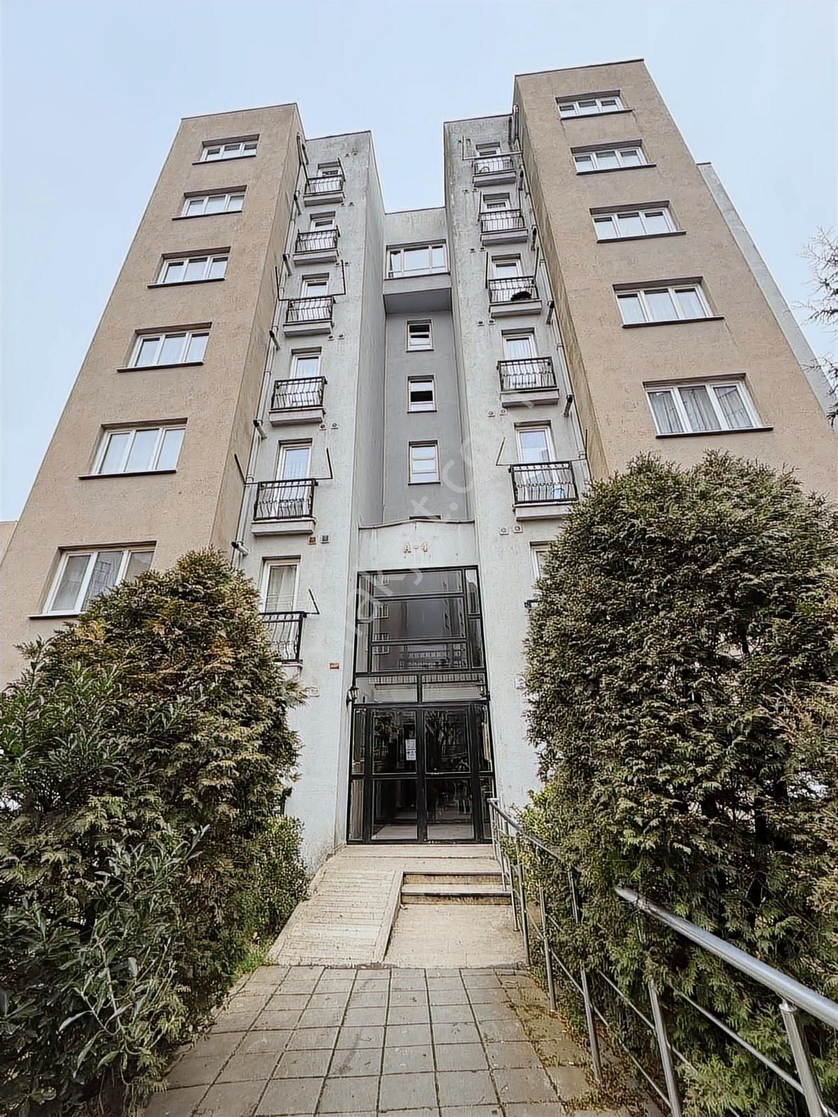 single post thumbnail