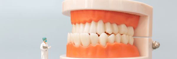 Pokl Kullanım Alanları ve Sağladığı Faydalar [2026 Rehber] - Kapak Görseli